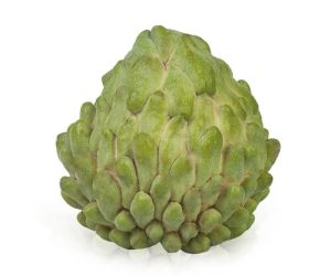 Atemioa