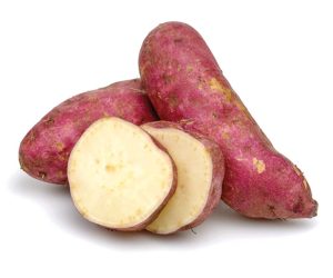 Sweet Potato