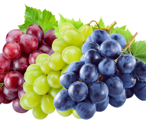Uvas